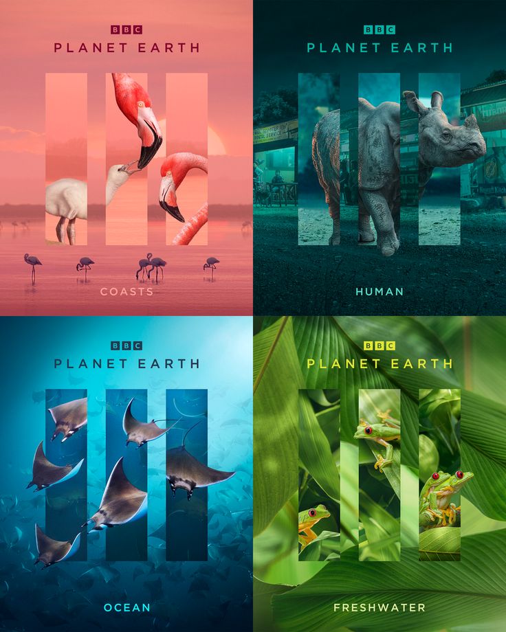 Planet Earth